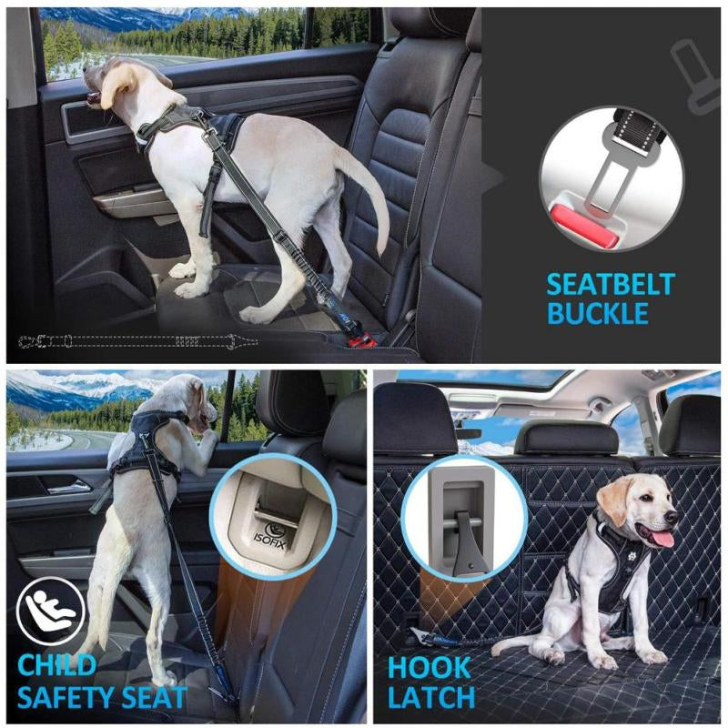 Pet Car Seat-Belt